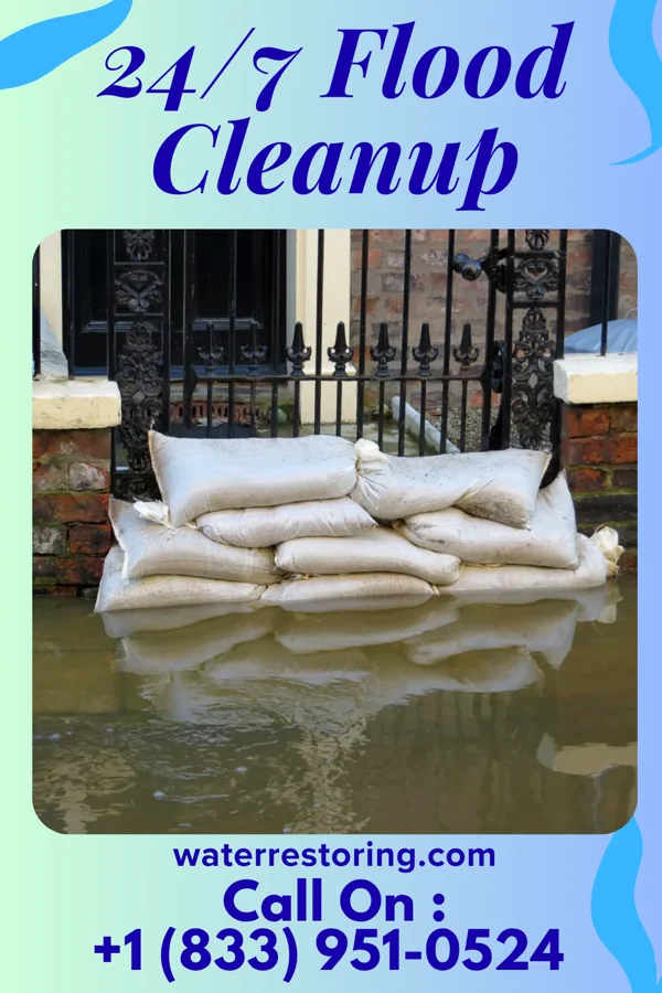 24/7 Flood Cleanup in Mantee, MS