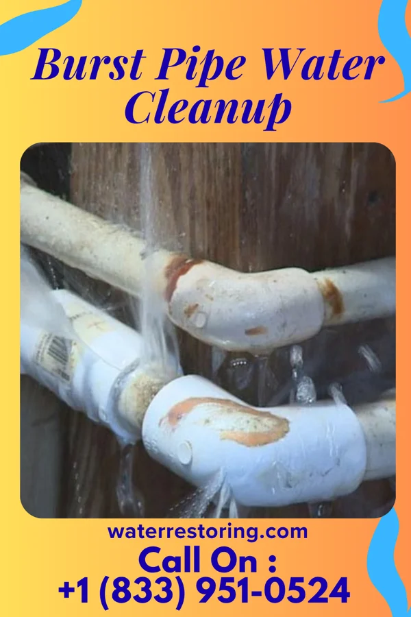 Burst Pipe Water Cleanup in Mantee, MS