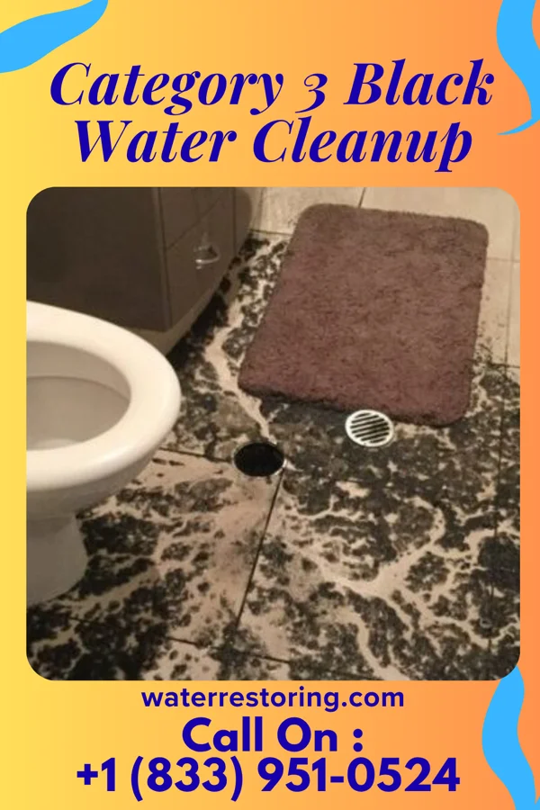 Category 3 Black Water Cleanup in Mantee, MS