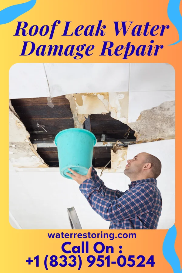 Roof Leak Water Damage Repair in Mantee, MS