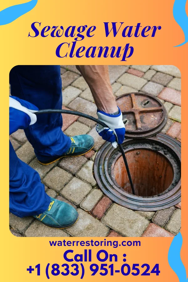 Sewage Water Cleanup in Mantee, MS